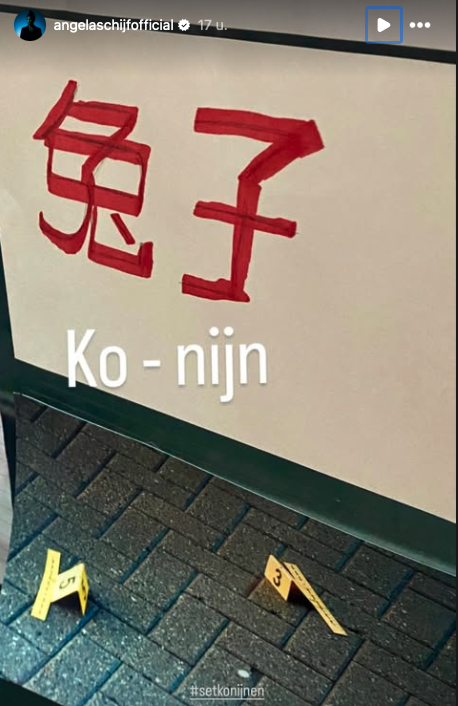Ko-nijn